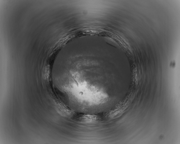 X0000100940328200807011251