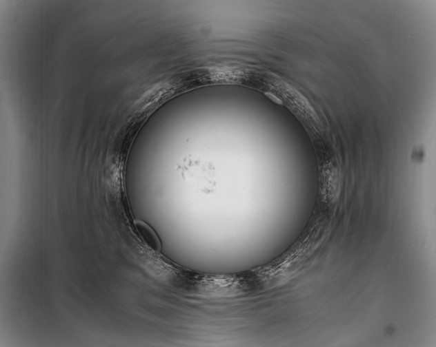 X0000100940329200807011251