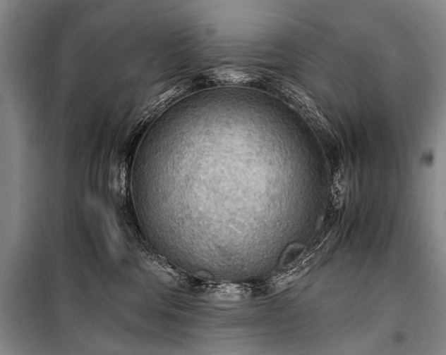 X0000100940330200807011251