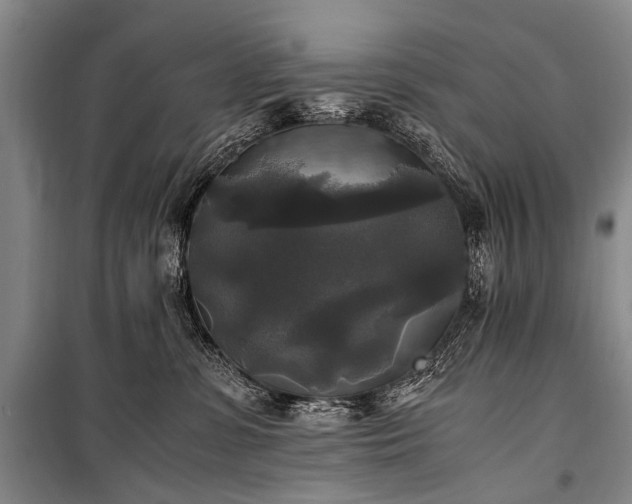 X0000100940331200807011251