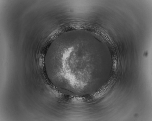 X0000100940332200807011251