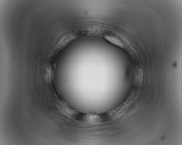 X0000100940333200807011251