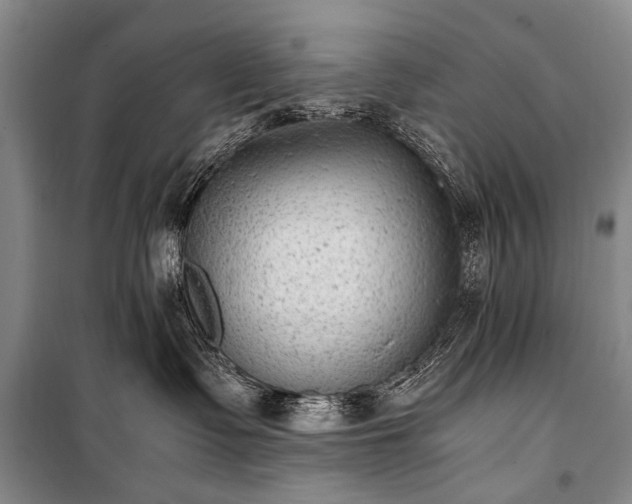 X0000100940335200807011251