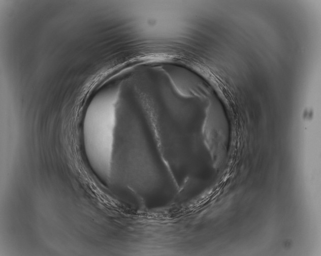 X0000100940337200807011250