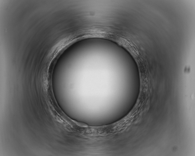 X0000100940338200807011250