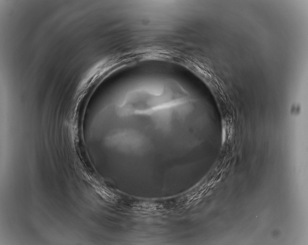 X0000100940339200807011250