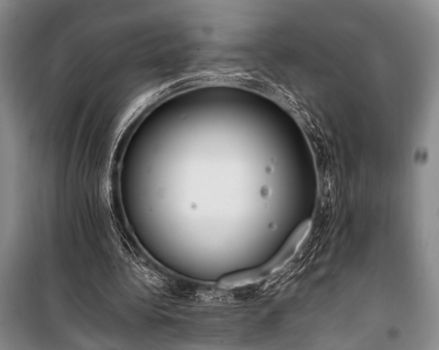 X0000100940340200807011250