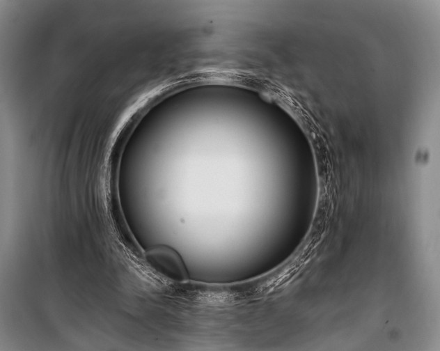 X0000100940342200807011250