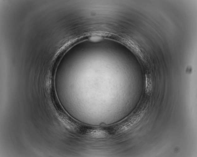 X0000100940348200807011250