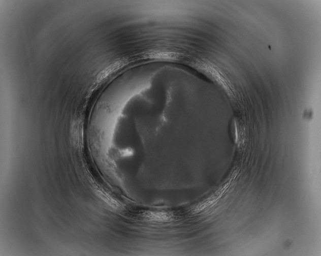 X0000100940349200807011250