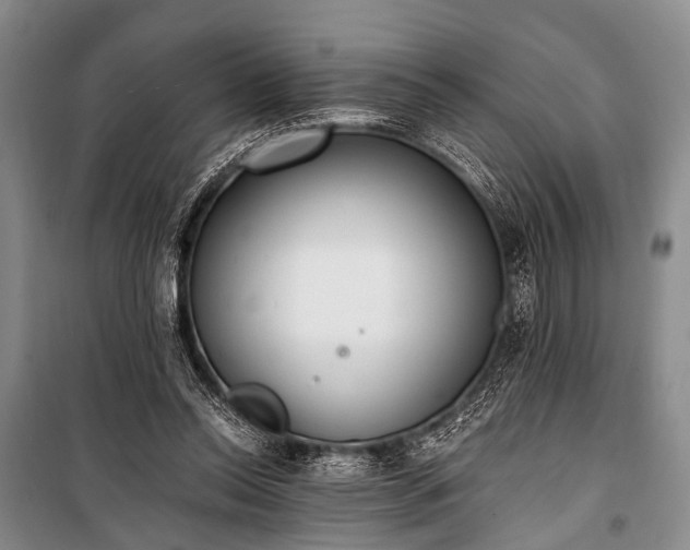 X0000100940350200807011250