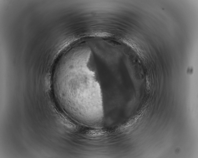 X0000100940351200807011250