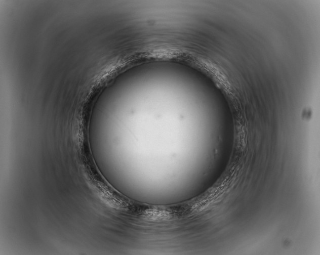 X0000100940354200807011250