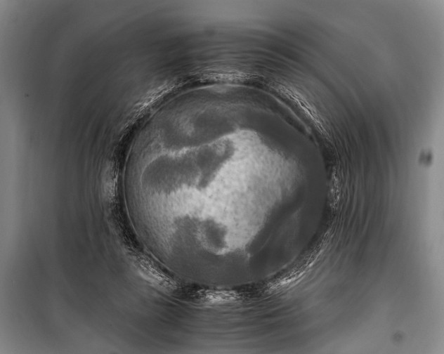 X0000100940355200807011250