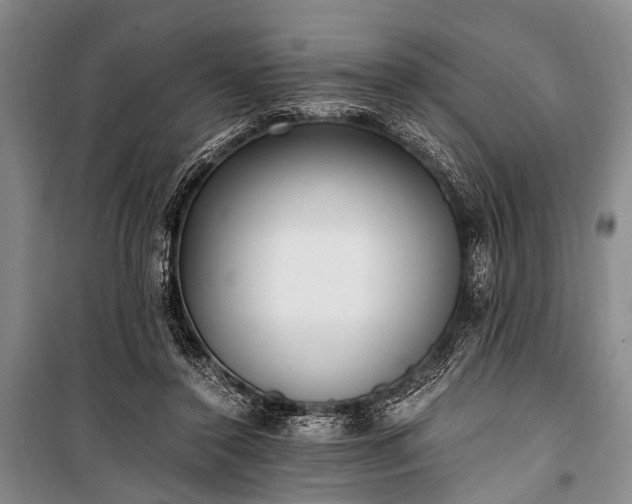 X0000100940356200807011250