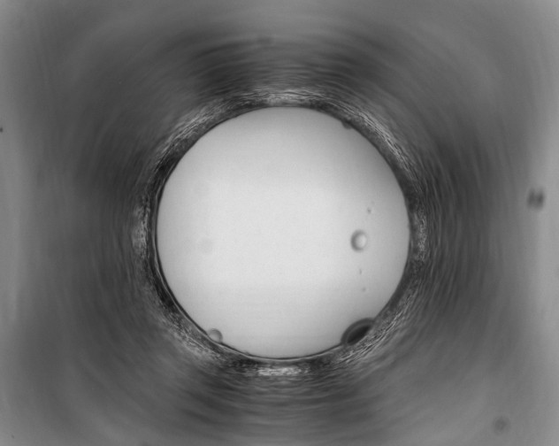 X0000100940357200807011250