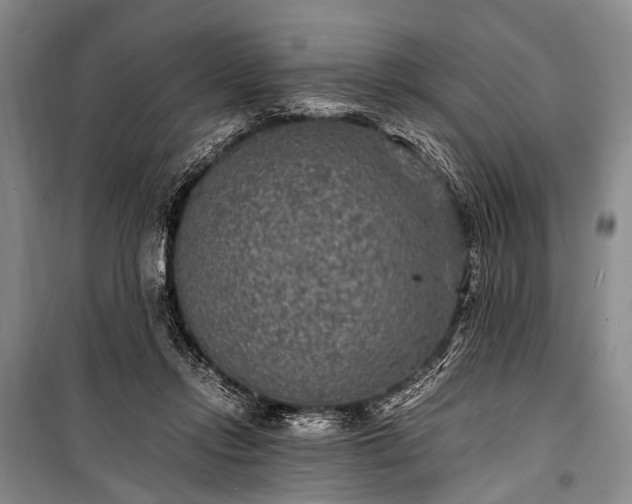 X0000100940358200807011250