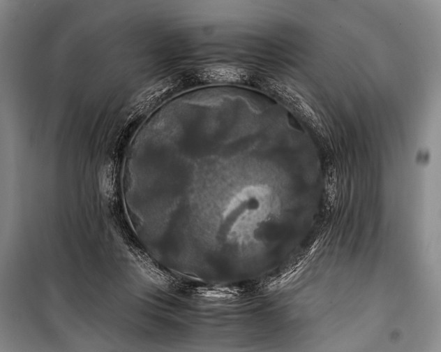 X0000100940359200807011250