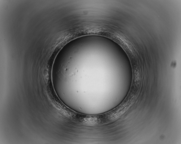 X0000100940362200807011250