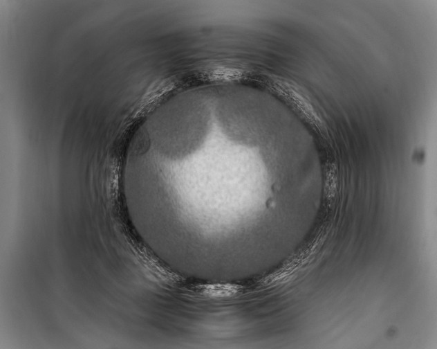 X0000100940363200807011250