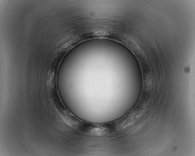 X0000100940364200807011250