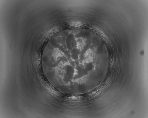 X0000100940365200807011250