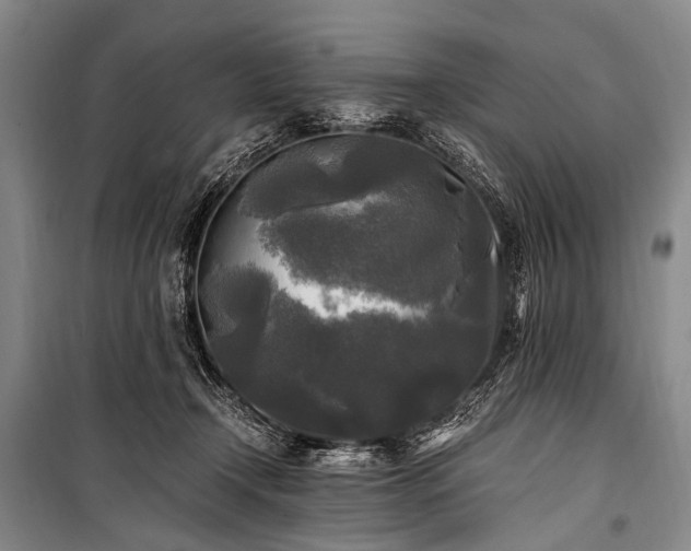 X0000100940366200807011250