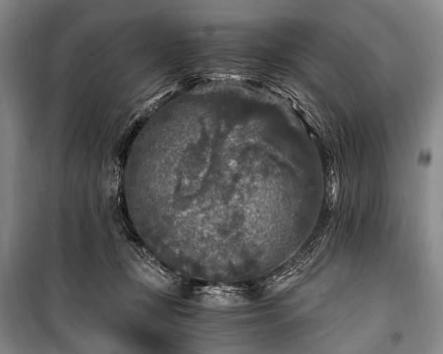 X0000100940367200807011250