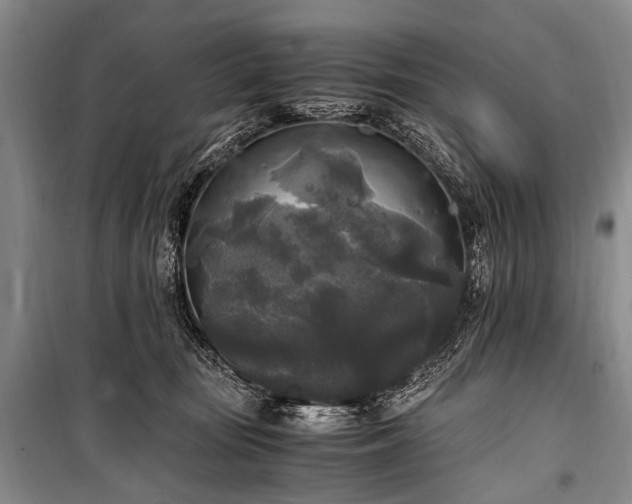 X0000100940371200807011250