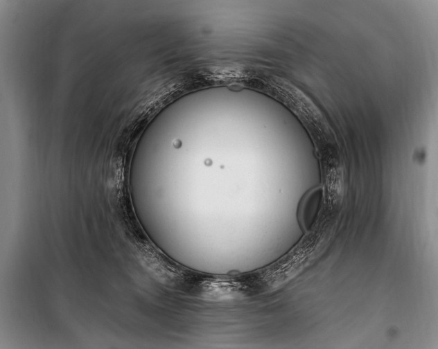 X0000100940372200807011250