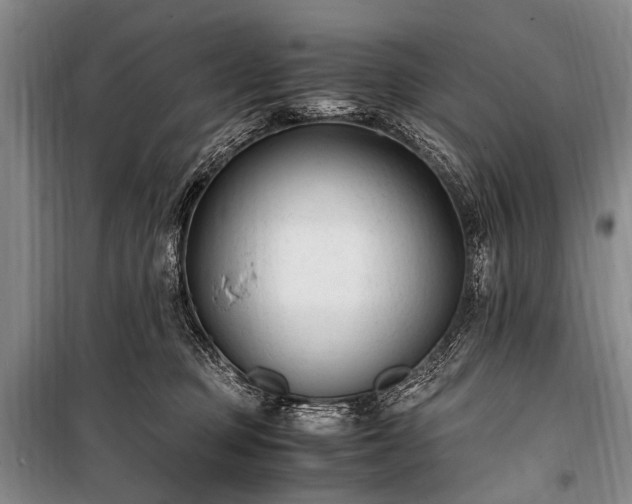 X0000100940373200807011250