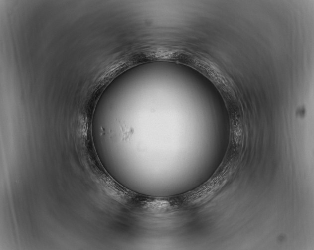 X0000100940374200807011250