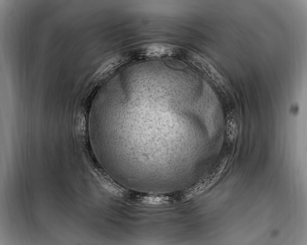 X0000100940375200807011250