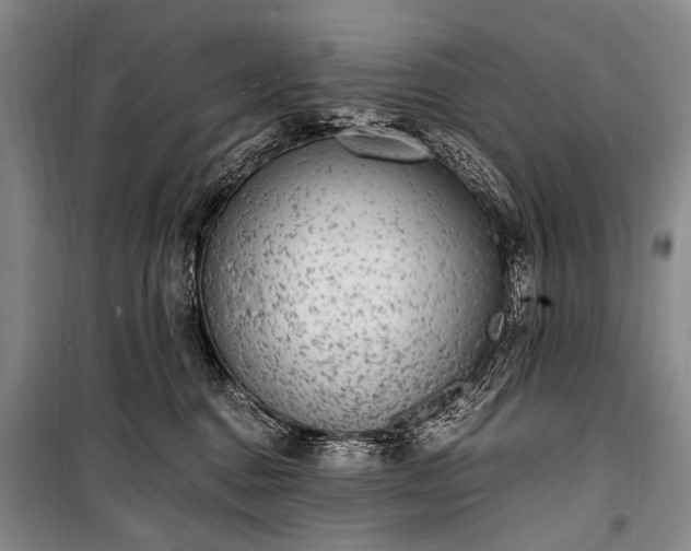 X0000100940376200807011250