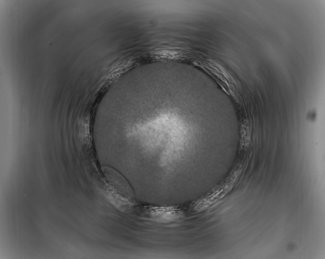 X0000100940377200807011251