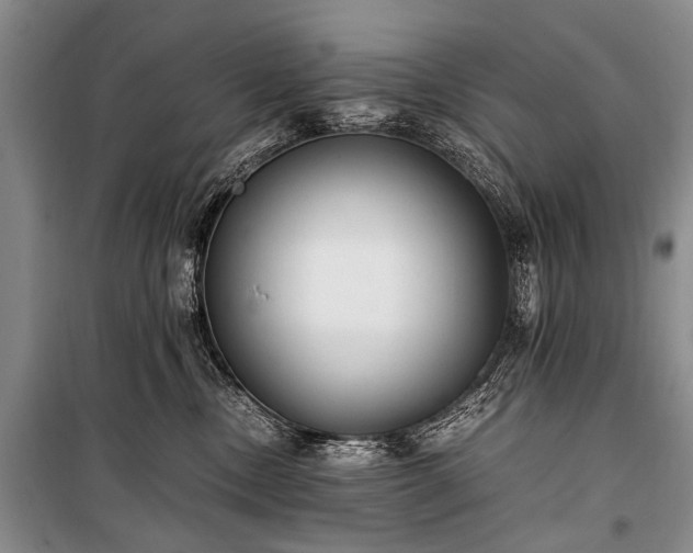 X0000100940378200807011251