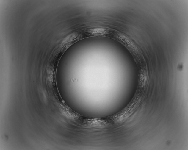 X0000100940379200807011251