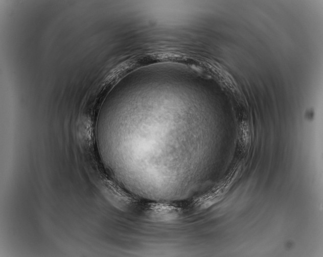 X0000100940380200807011251