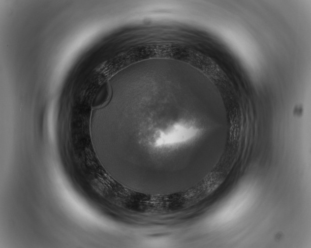 X0000100940383200807011251