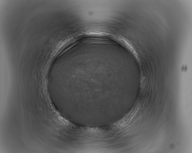 X0000100940385200807011250