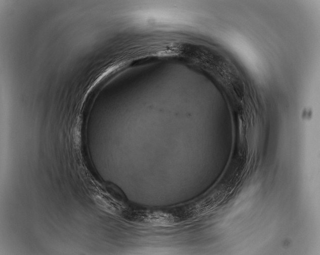 X0000100940387200807011250