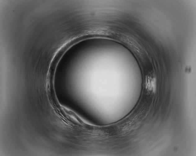 X0000100940388200807011250