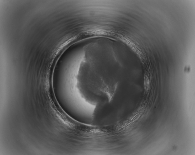 X0000100940390200807011250