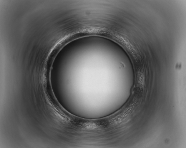 X0000100940392200807011250