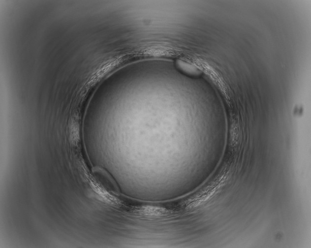 X0000100940393200807011250