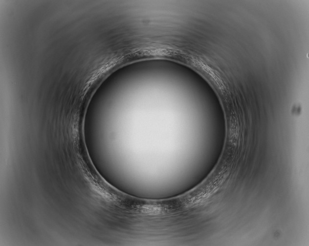 X0000100940394200807011250