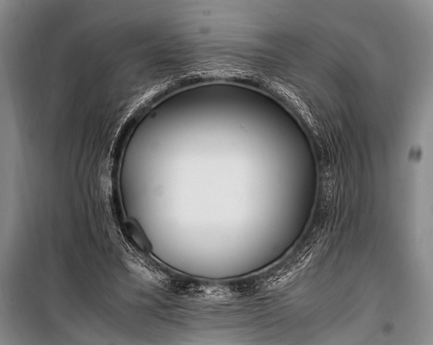 X0000100940395200807011250