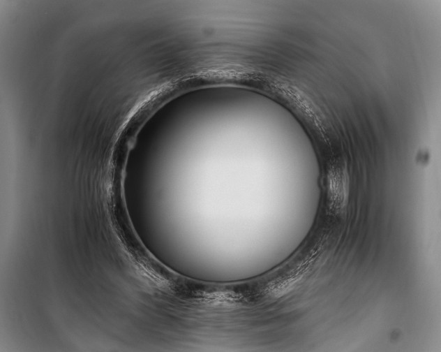 X0000100940396200807011250