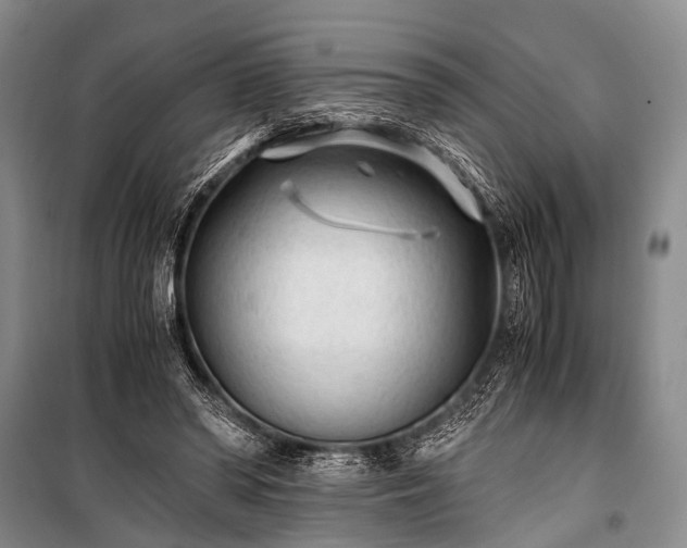 X0000100940398200807011250