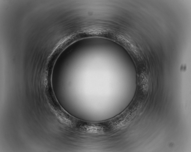 X0000100940400200807011250